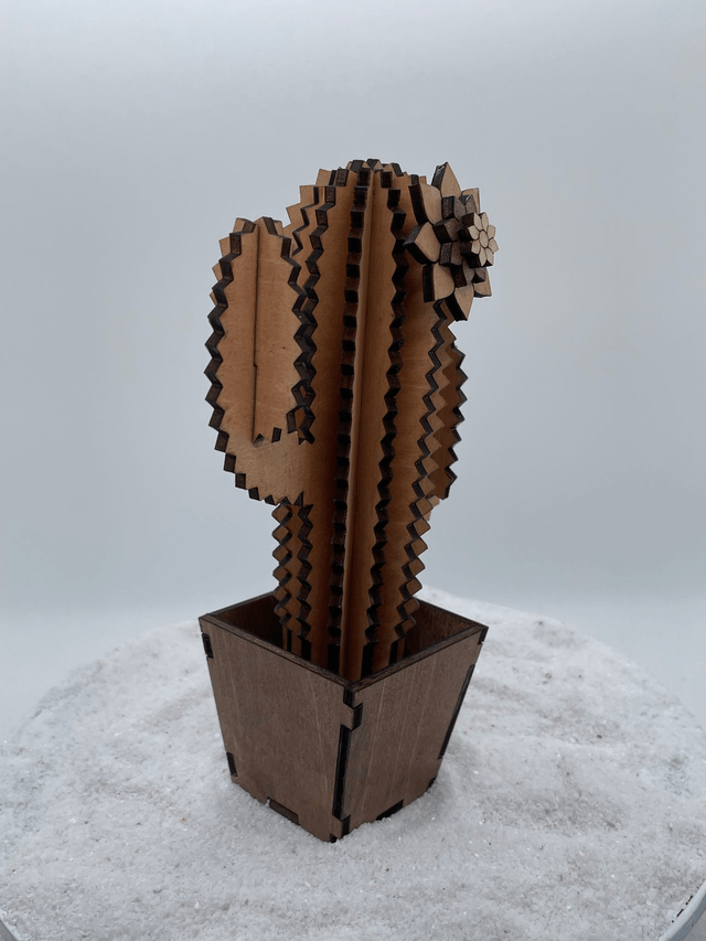 Cactus trois branches et son pot