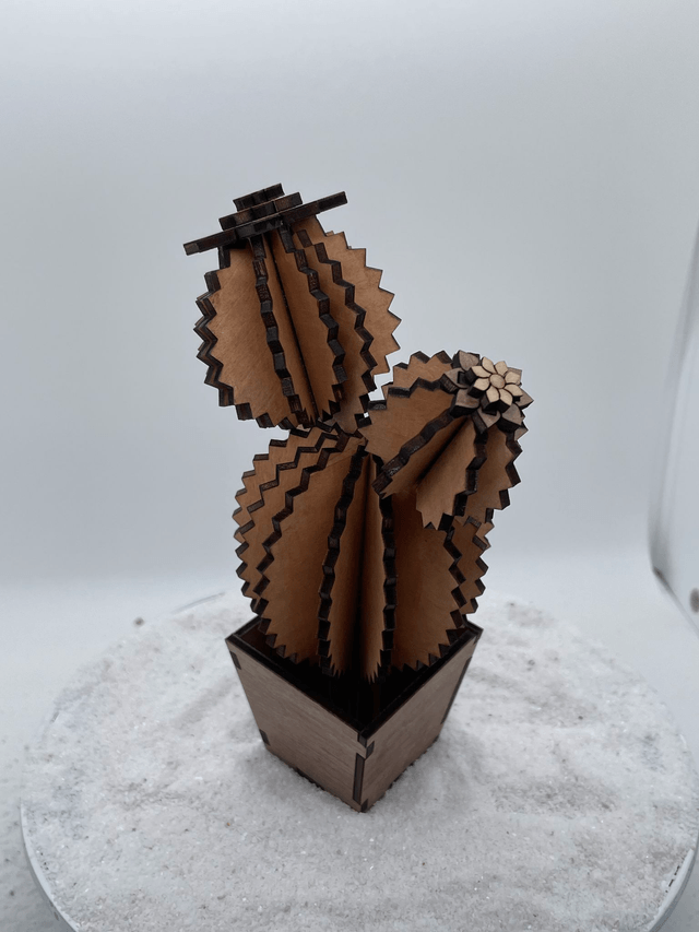 Cactus trois boules et son pot