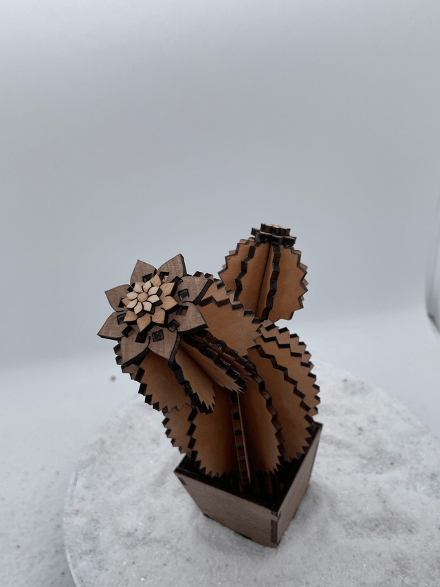Cactus trois boules et son pot