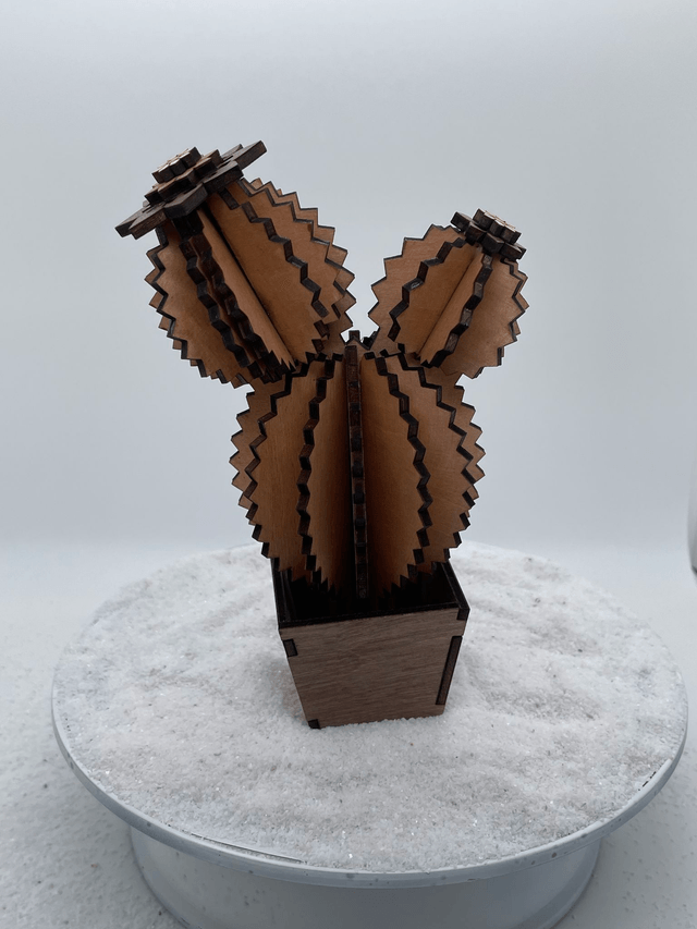 Cactus trois boules et son pot