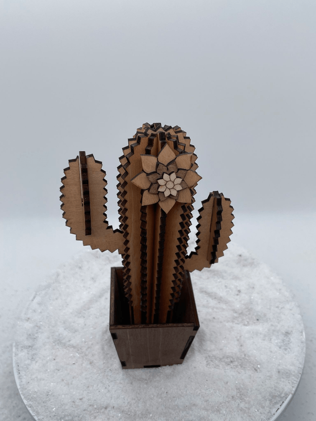 Cactus trois branches et son pot