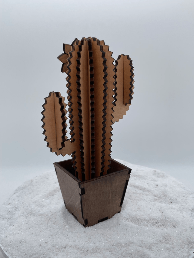 Cactus trois branches et son pot