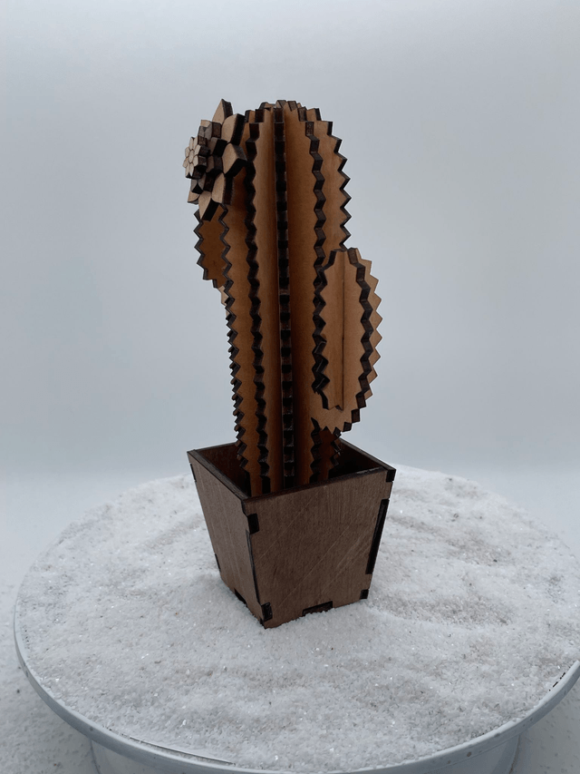 Cactus trois branches et son pot