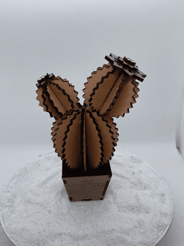 Cactus trois boules et son pot